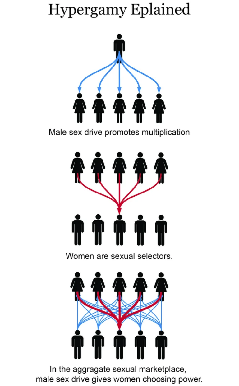 Hypergamy Is WGTOW Derek L Ramsey Hypergamy Is WGTOW Derek L Ramsey